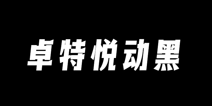 卓特悦动黑-图片