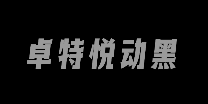 卓特悦动黑-图片