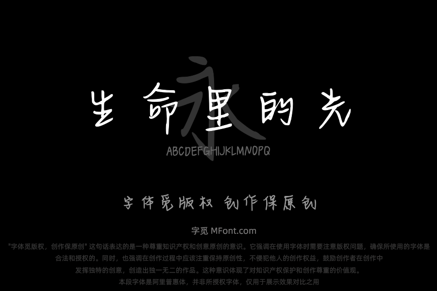 落在生命里的光