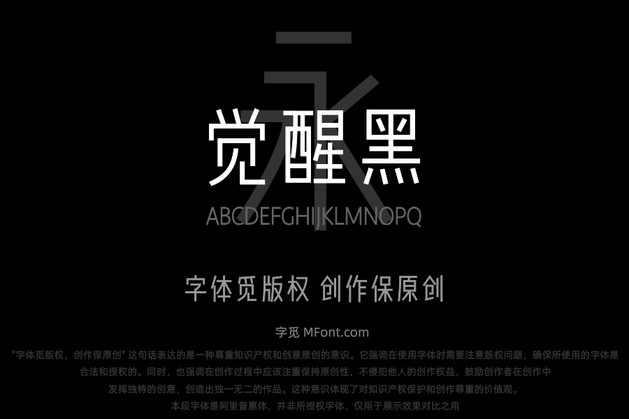 Aa觉醒黑 40J