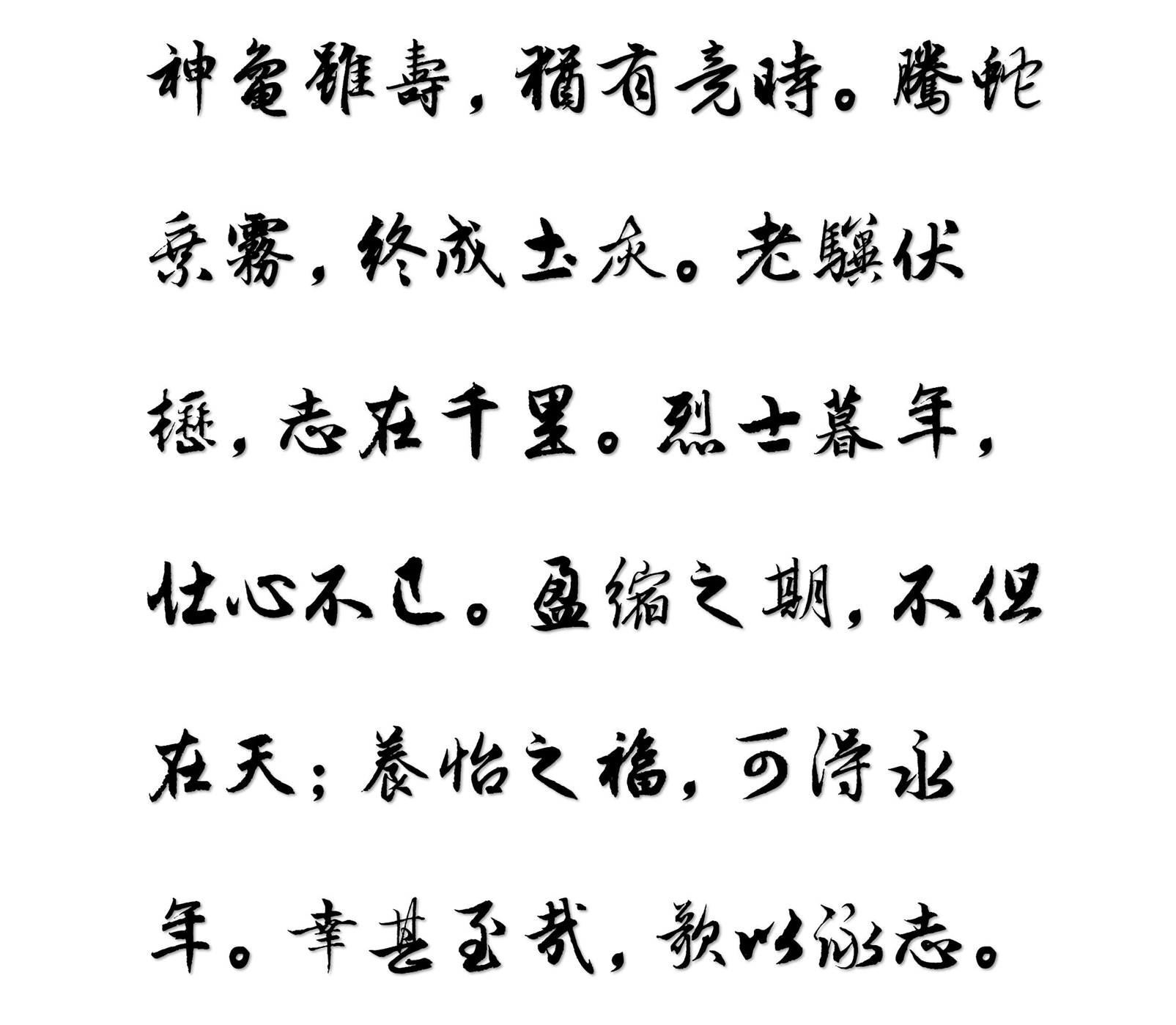 汉标赵孟頫龟虽寿